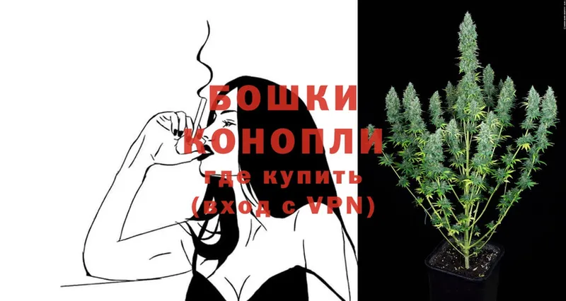 Шишки марихуана SATIVA & INDICA  Заозёрск 